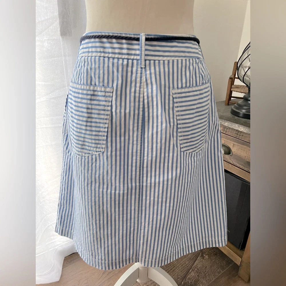 Talbots Striped Blue and White Skirt - Picture 6 of 7